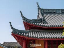 蟠龙天地5