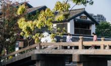 蟠龙天地8