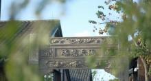 蟠龙天地11