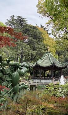 丁香花园7