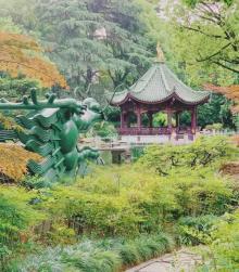 丁香花园25
