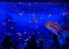 上海幻视界沉浸式剧场7
