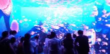 上海幻视界沉浸式剧场8