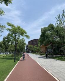 陆家嘴滨江步道4