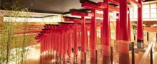 涟泉大江户(虹桥店)31