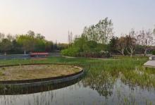 望和公园17