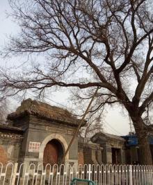 延庆寺7