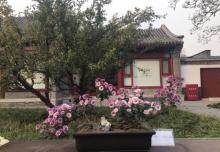 阐福寺4