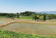 中坞公园16