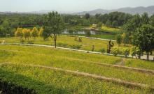 中坞公园2