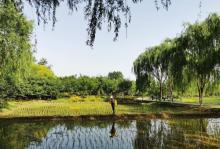 中坞公园15