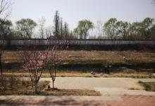 温泉公园5