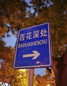 百花深处16