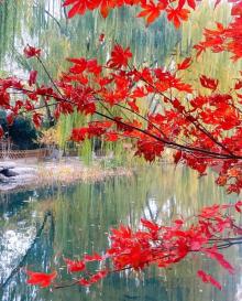 潭西胜境景区8
