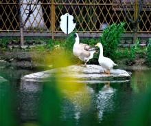 潭西胜境景区29
