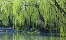 潭西胜境景区3