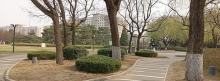 西便门小公园5
