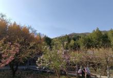 红螺山5