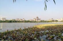 莲花池公园-露天舞场3