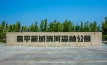 新城滨河森林公园3