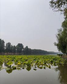 新城滨河森林公园11