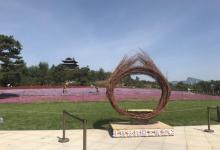 北京世园会世界园艺展示区27