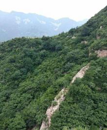 玻璃台14