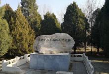 绿堤公园9