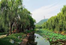 玉东园20