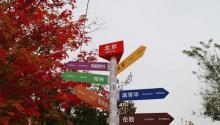 优沃得自然教育农场17