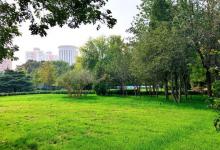 方庄体育公园(游乐场)2