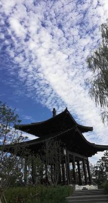 旧宫城市森林公园2