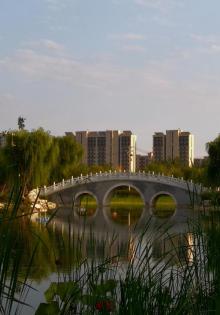 旧宫城市森林公园1