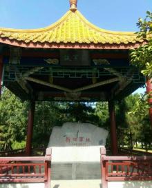 天元公园8