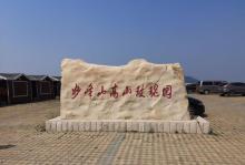 妙峰山玫瑰园3