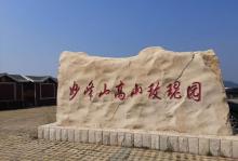 妙峰山玫瑰园5