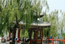 知春亭10