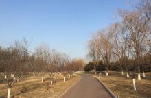 莲石湖公园12