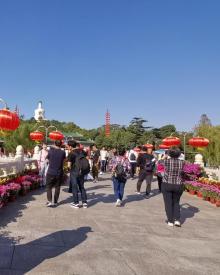琼岛春阴23