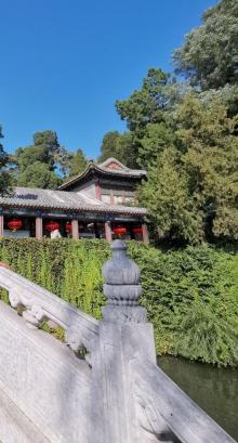 琼岛春阴19