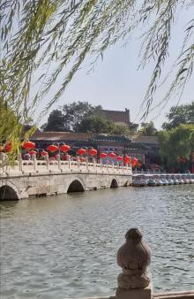 琼岛春阴22