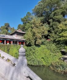 琼岛春阴26