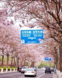 亦庄公园4