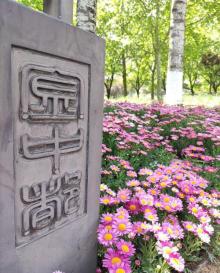 金中都公园29