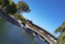 金中都公园15
