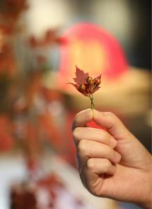 神玉艺术馆4
