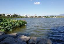 夏都公园26