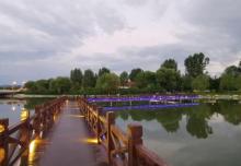 夏都公园11