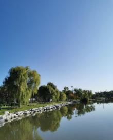 夏都公园10