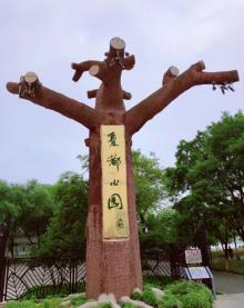 夏都公园14